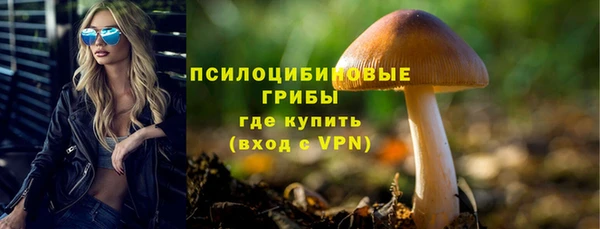амф Верея