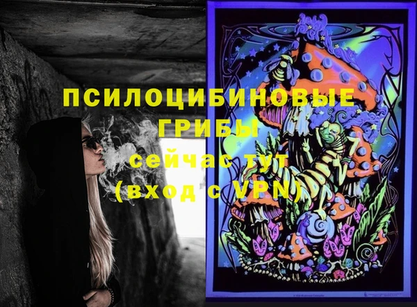 эйфоретик Верхний Тагил